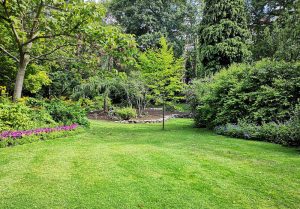 Optimiser l'expérience du jardin à Roquefort-les-Pins